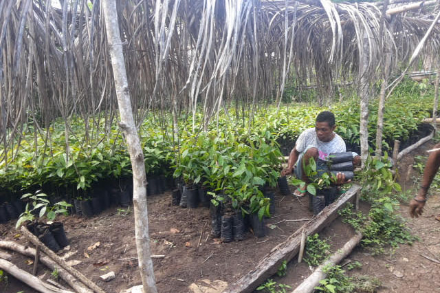 In the mountains of Timor-Leste, a small success on climate change